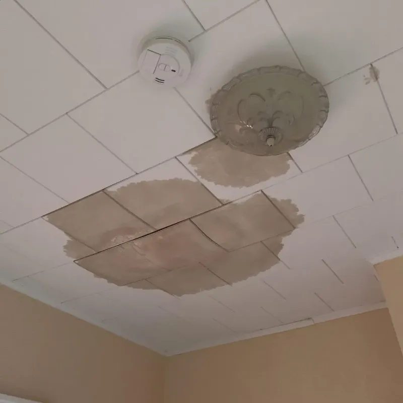 Ceiling Water Damage Repair in Kenilworth, PA